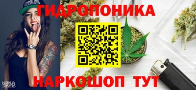 гашик Мариинск